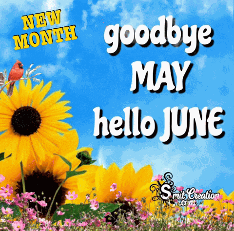 Hello June GIF
