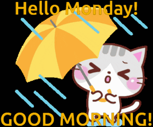 Hello Monday Good Morning Chat What Should I Do Today On Stream GIF