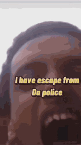 Hello Pigeon GIF
