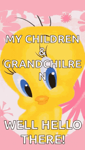 Hello Tweety GIF