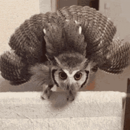 Help Im Stuck Help Im Not Coming Down Till You Get That Bug GIF