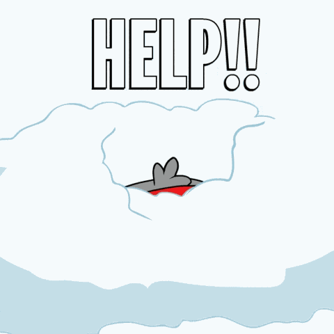 Help Penguin GIF
