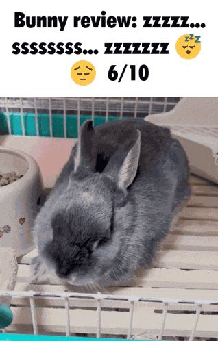 Helpurself Bunny GIF