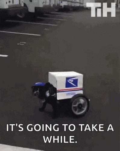Her Comes The Mail Mail Dog GIF