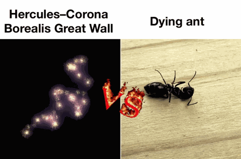 Hercules-corona Borealis Great Wall Dyingant GIF