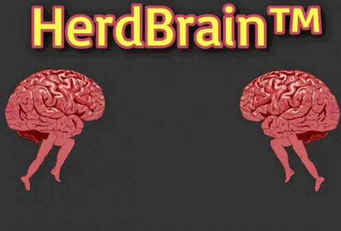 Herdbrain GIF