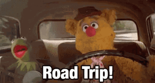 Hermit The Frog Road Trip GIF