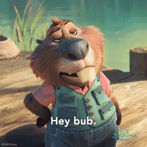 Hey Bub Nibbles GIF