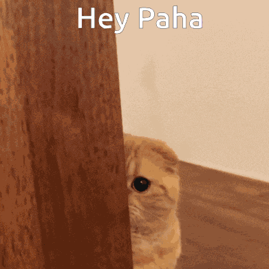 Hey Paha Pahakissa GIF