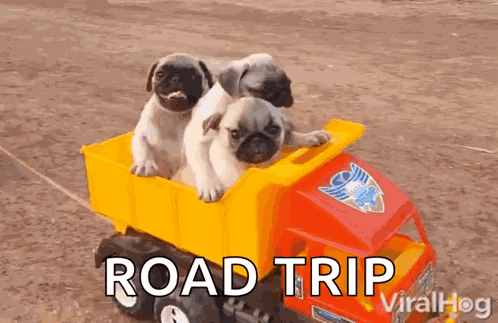 Hey There Friends GIF