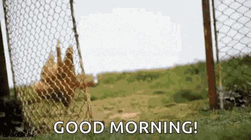 Hi Running Late GIF