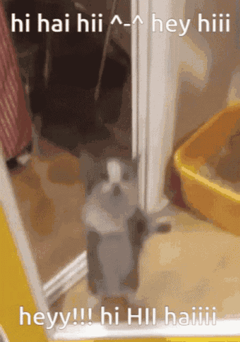 Hi GIF