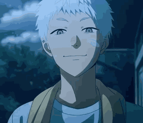 Hiakru The Summer Hikaru Died GIF