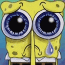 Hibag Spongebag Meme