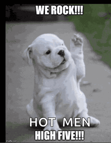 High Five High Five Gif Meme