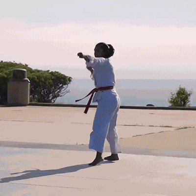 High Kick Michelle Khare GIF