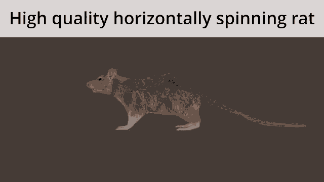 High Quality Horizontally Spinning Rat Rat GIF