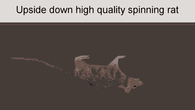 High Quality Upside Down Spinning Rat Rat GIF