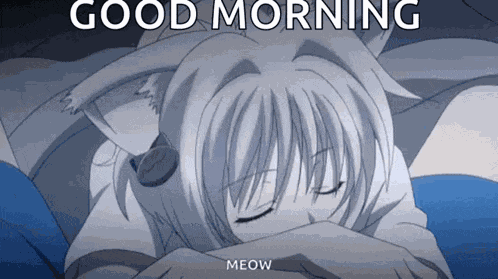 High Schoold Xd Koneko GIF