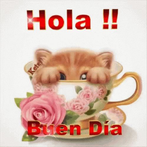 Hola Buen Dia GIF
