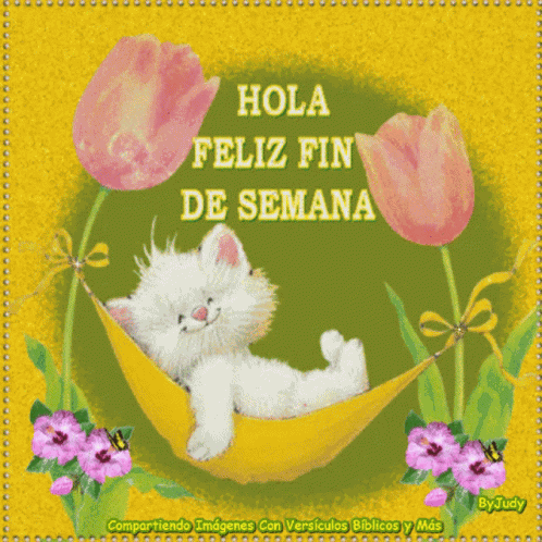 Hola Fin De Semana GIF