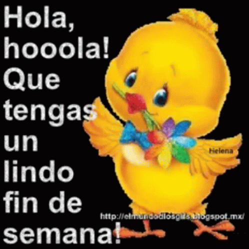 Hola Fin De Semana GIF