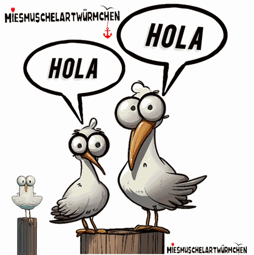 Hola Hi GIF