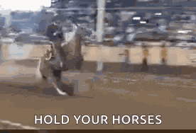 Hold Your Horses Slow Down GIF