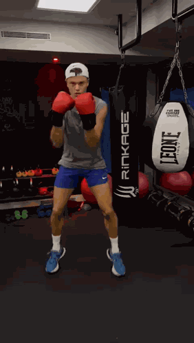 Holger Rune Boxing GIF