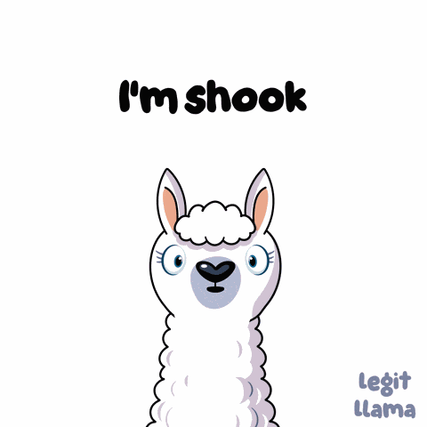 Holy Cow Holy S GIF