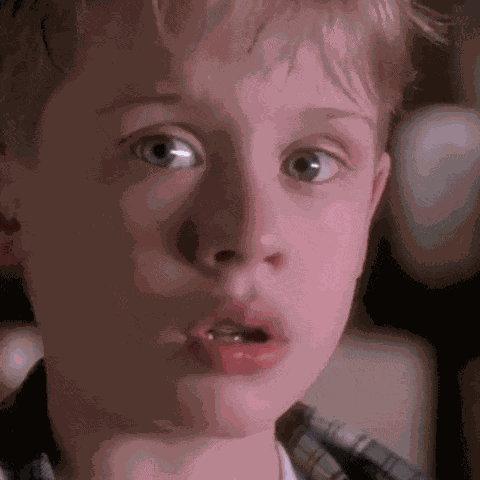 Home Alone Home Alone 1 GIF