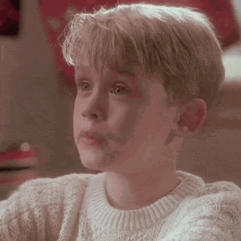 Home Alone Home Alone 1 GIF
