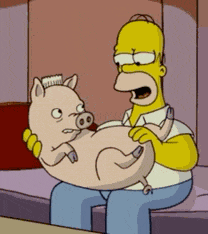 Homer Cerdo GIF