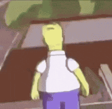 Homer Homer Simpson GIF