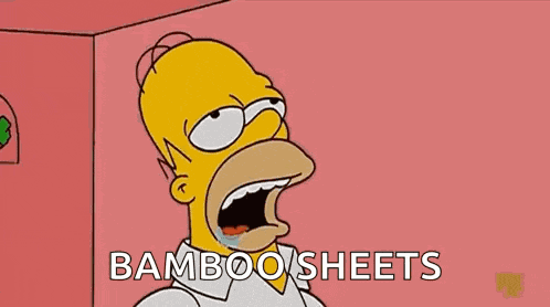 Homer Homer Simpson GIF