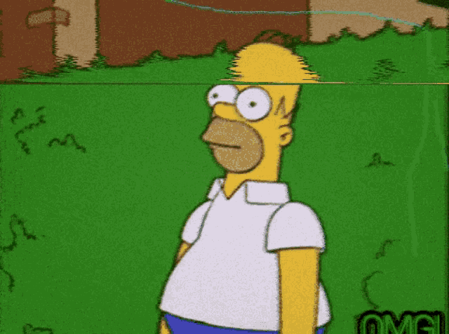 Homer Homer Simpson GIF