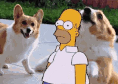 Homer Simpson GIF