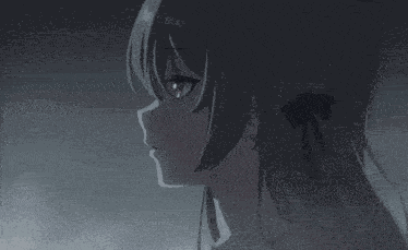 Honkai Star Rail Firefly GIF