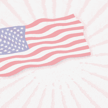 Honor The Veterans Day November 11 GIF