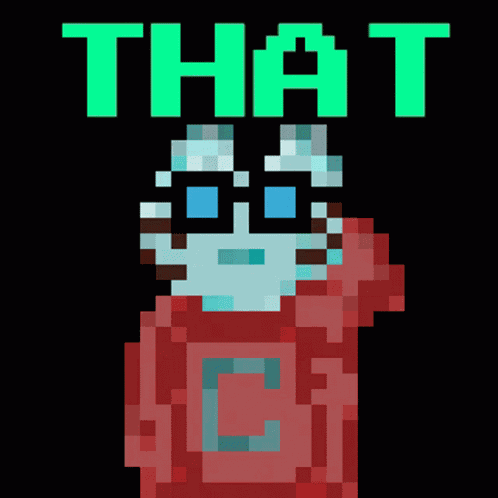 Hoodycat Hoodycats GIF