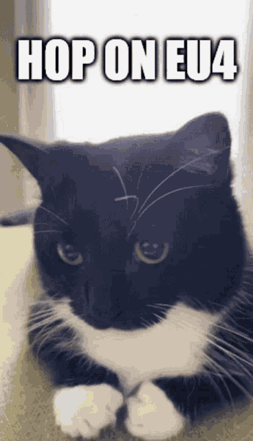 Hop On Eu4 GIF