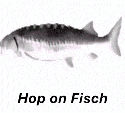 Hop On Fisch Hop On Roblox GIF