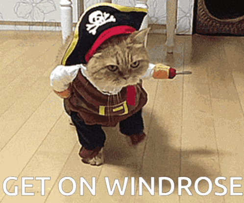 Hop On Windrose Get On Windrose GIF