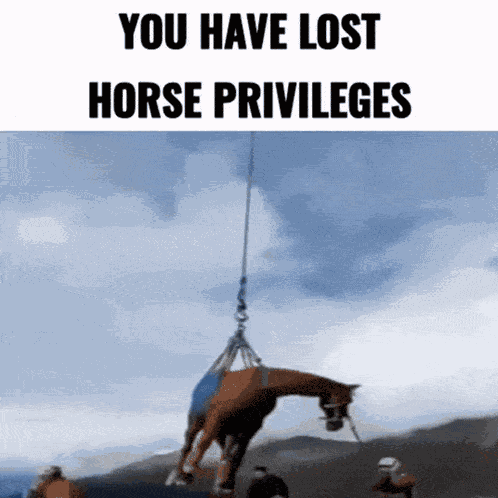 Horse GIF
