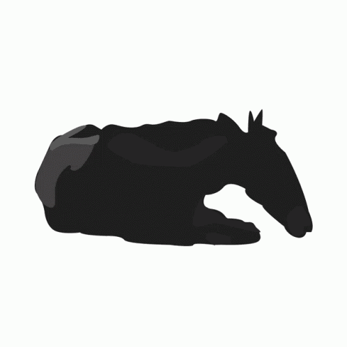 Horse GIF
