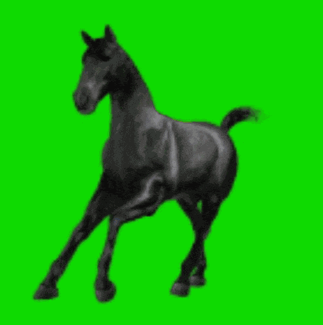 Horse Green GIF