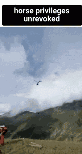 Horse Privileges Unrevoked Helicopter GIF