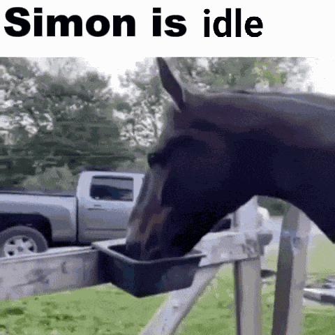 Horse Simon GIF