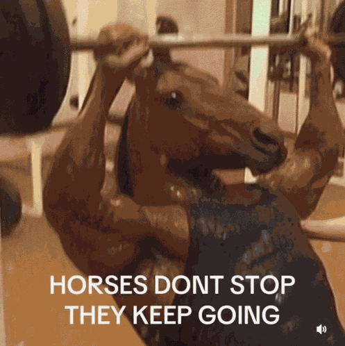 Horses Dont Stop Horses Don'T GIF