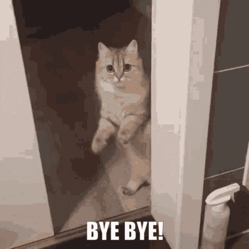 Hospital Hello GIF